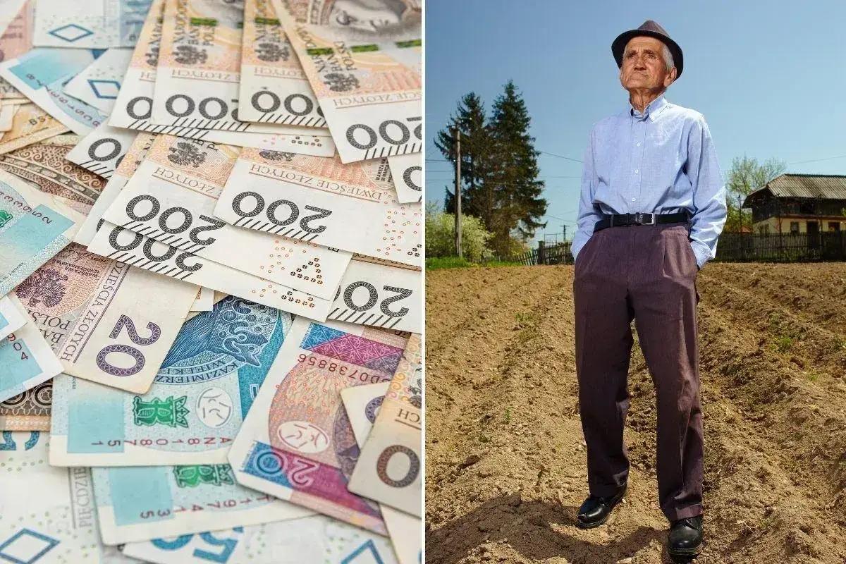 Stos banknotów i starszy pan w polu. Czy to symbol tego, co to renta – wsparcie dla seniorów?