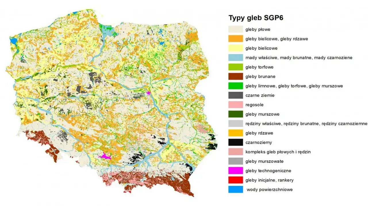 Mapa Polski z zaznaczonymi typami gleb. Różne kolory reprezentują gleby płowe, bielicowe, torfowe, brunane, czarne ziemie, rędziny i inne.