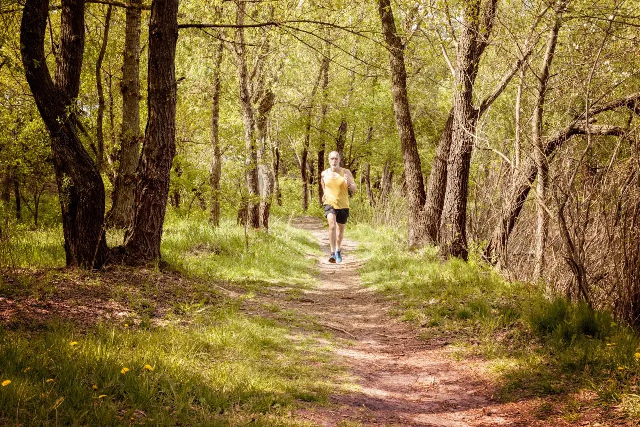 Ein Mann l&auml;uft auf einem Waldweg. Regelm&auml;&szlig;iges Training ist der Schl&uuml;ssel, wie wird man schneller.
