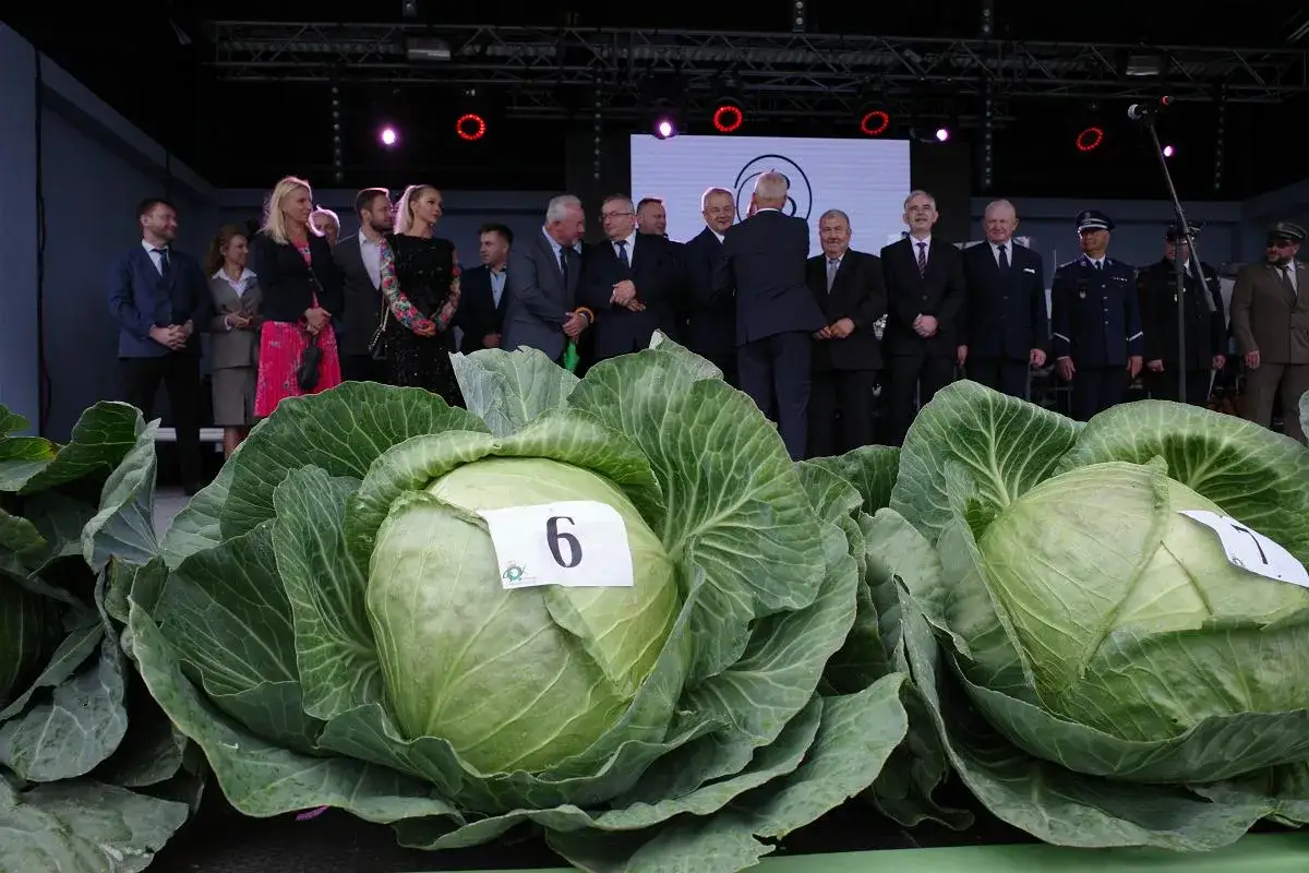 Na scenie w Charsznicy stoją ludzie w eleganckich strojach, a przed nimi ogromne główki kapusty z numerami.