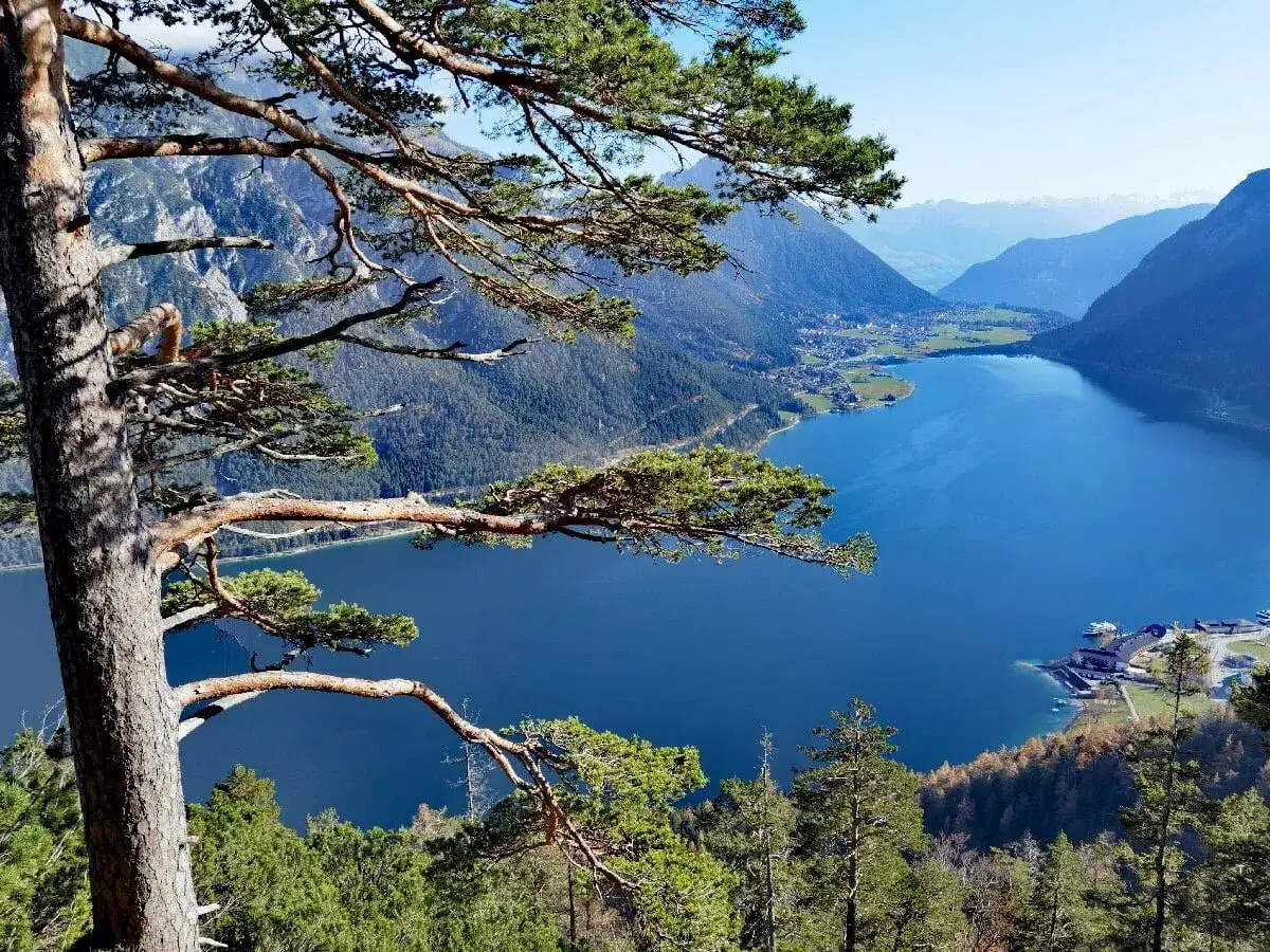 Blick &uuml;ber den tiefblauen Achensee, umrahmt von einem alten Baum. Ein wahrer **geheimtipp Achensee** f&uuml;r Naturliebhaber.