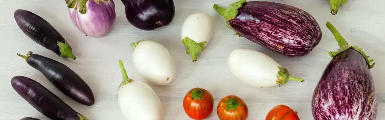 Una variet&agrave; di melanzane: lunghe e viola scuro, bianche ovali, striate viola e bianche, e piccole tonde arancioni.
