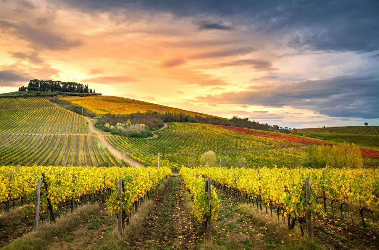 Vigneti dorati e rossi si estendono sulle colline della **chianti zona** al tramonto, con un cielo drammatico sopra.