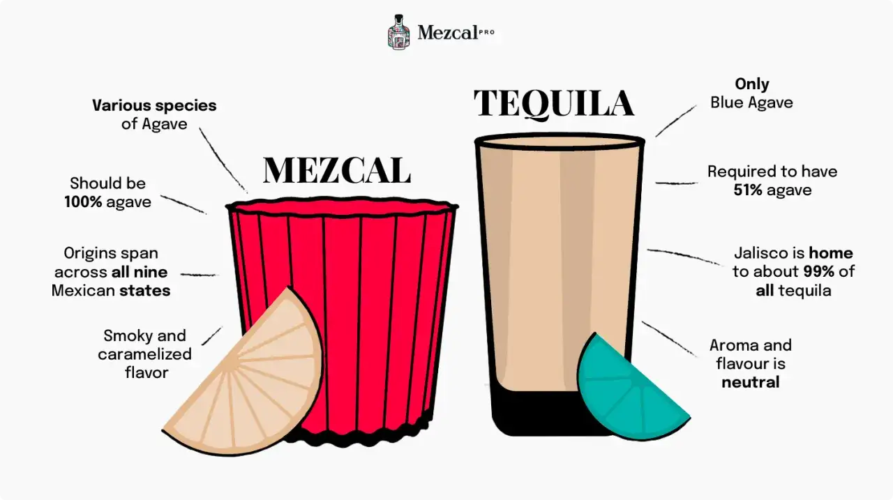 Porównanie mezcalu i tequili: mezcal z różnych gatunków agawy, tequila z niebieskiej agawy. Mezcal ma dymny smak, tequila neutralny.