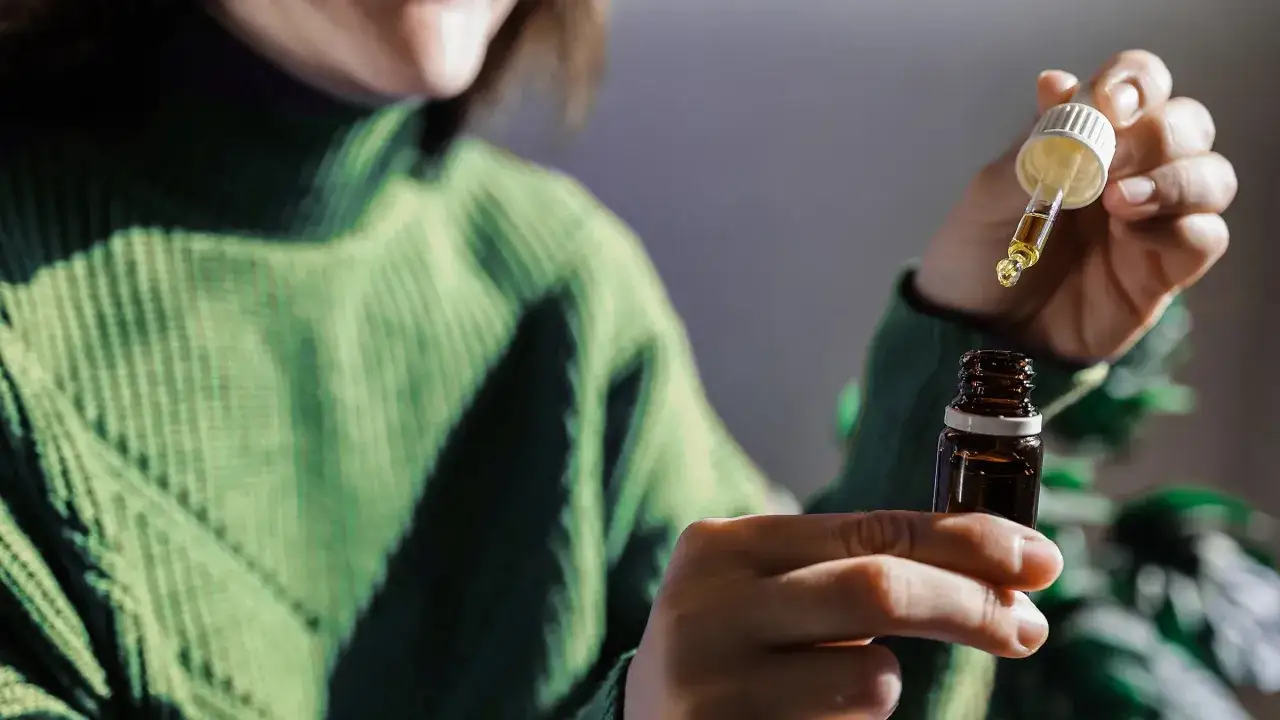 Kropla olejku z oregano na pipetce, gotowa do użycia. Wiele osób stosuje olejek z oregano na przeziębienie i odporność.