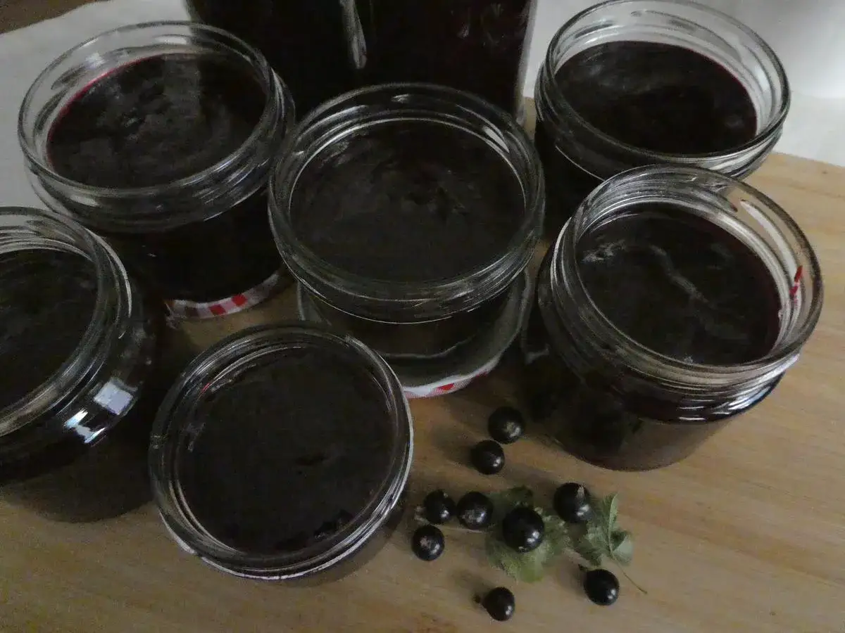 Gläser voller dunkler Marmelade, perfekt für Jostabeere Rezepte. Frische Beeren liegen daneben.