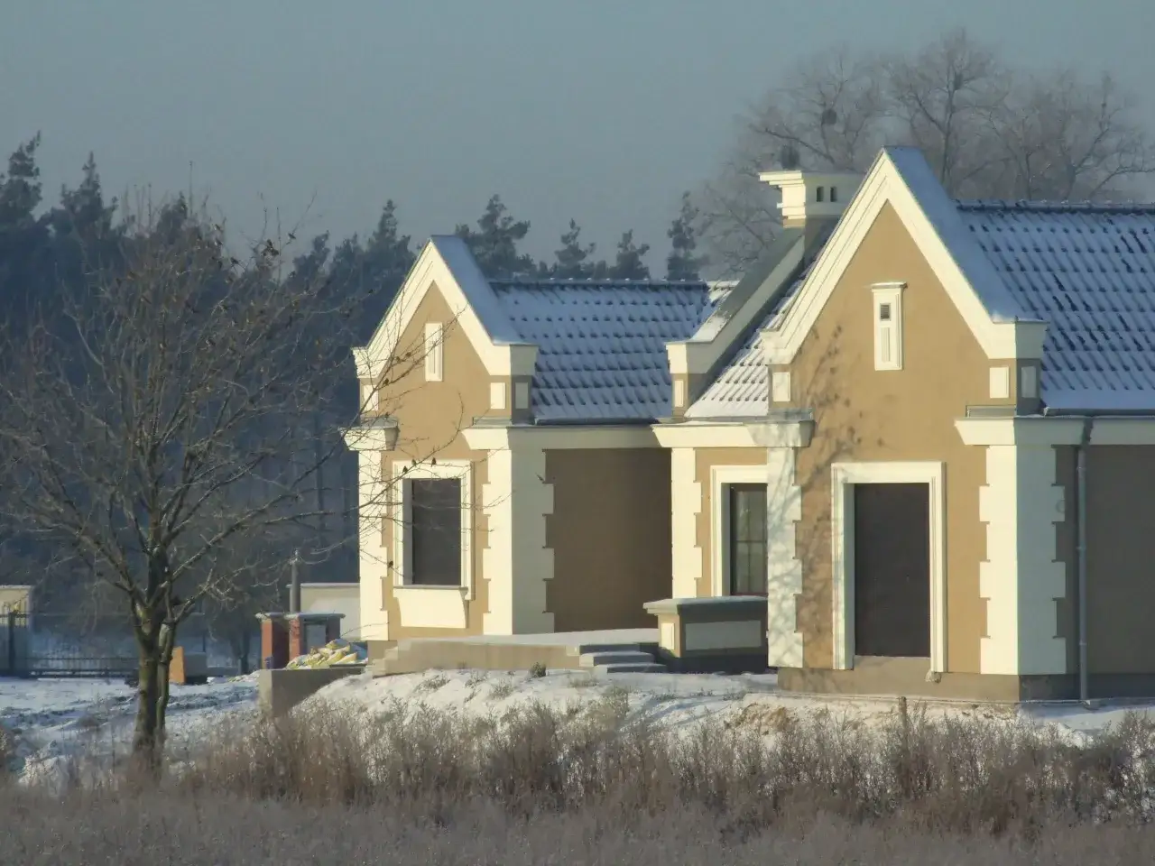 Domy w stylu wiktoriańskim, pokryte śniegiem, z drzewem pełnym ptaków w tle.
