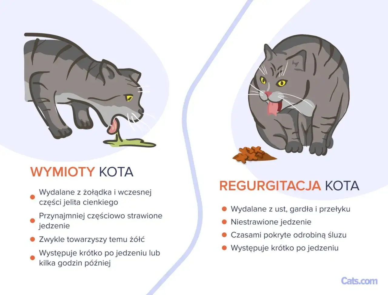 Ilustracja pokazuje dwa koty. Po lewej kot z wymiotami, po prawej kot z regurgitacją.