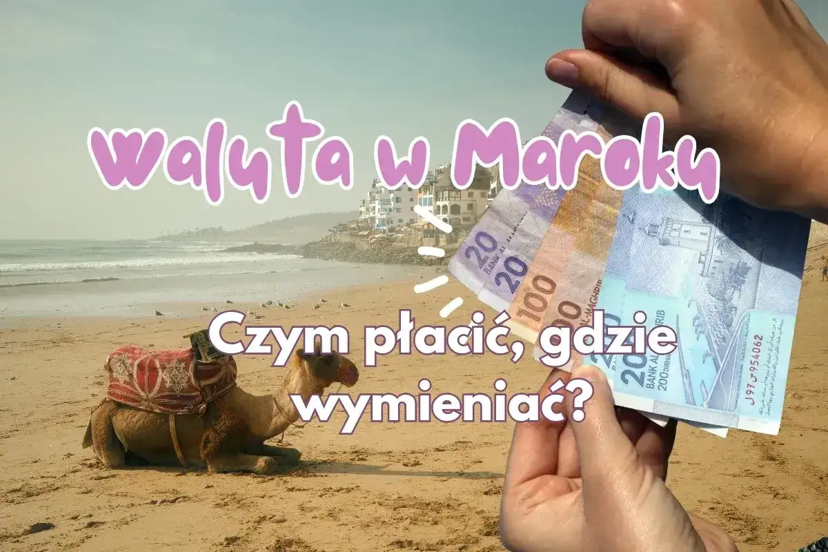 Maroko: czy euro czy dolary? Na plaży z wielbłądem trzymam dirhamy. Czym płacić i gdzie wymieniać?