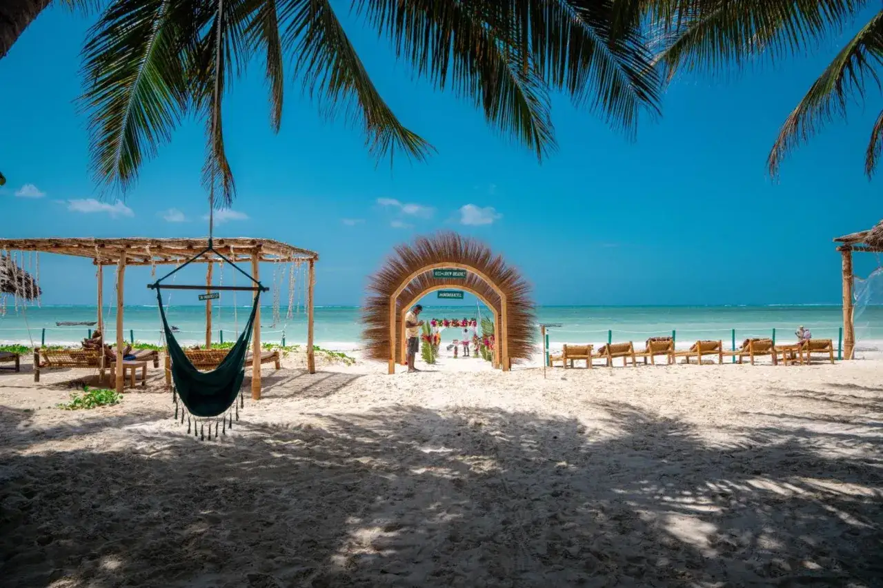 Rajska plaża na Zanzibarze z palmami, hamakiem i łukiem z trawy. Idealne miejsce na relaks i doświadczenie magii pili pili zanzibar.