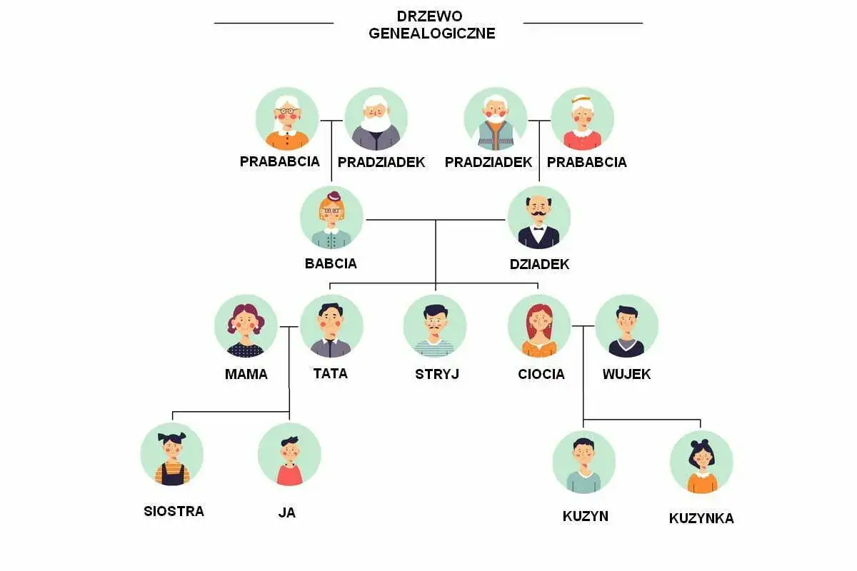Drzewo genealogiczne pokazuje wstępny zstępny: od pradziadków po wnuki. Widać tu rodziców, wujków, ciocie i kuzynostwo.