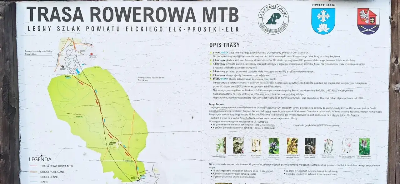 Mapa trasy rowerowej MTB Leśny Szlak Powiatu Ełckiego, z zaznaczonymi punktami, drogami i legendą. Trasa prowadzi przez tereny leśne, w pobliżu Grajewo i Augustów.