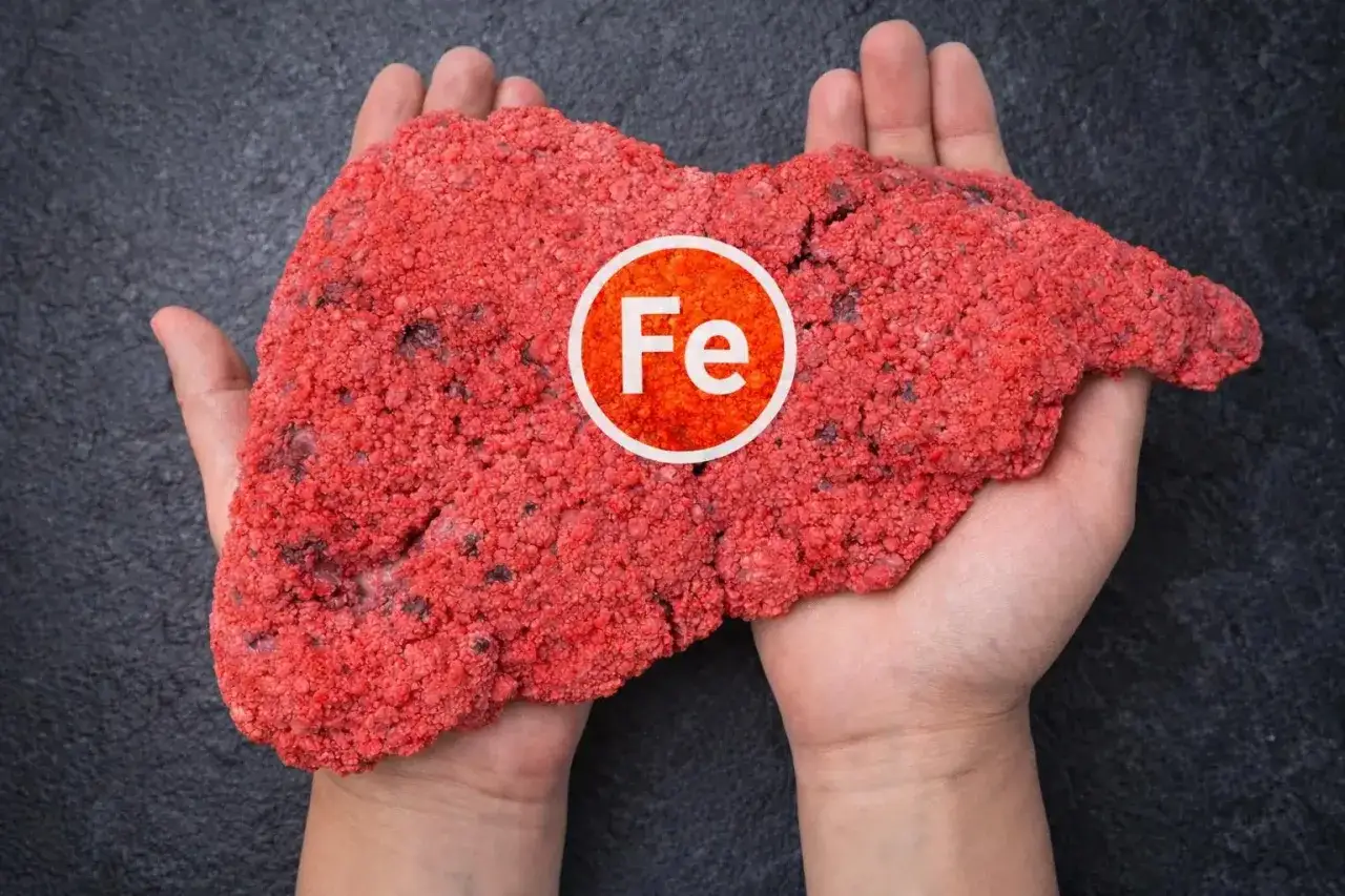 Dłonie trzymają model wątroby z symbolem żelaza (Fe), sugerującym hemochromatozę.