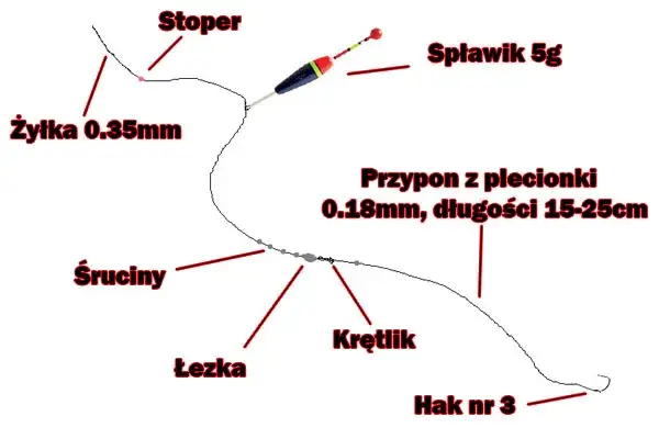 zestaw spławikowy na karpia