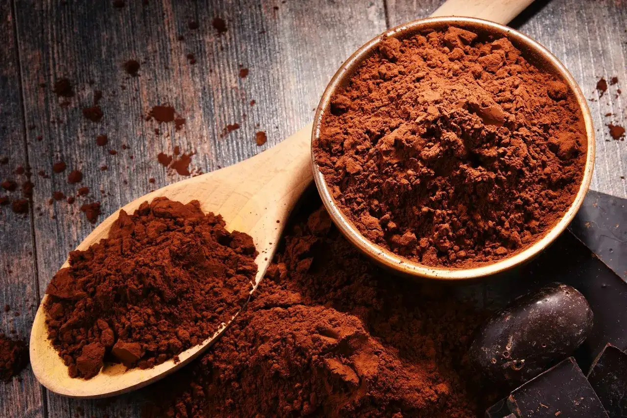Poudre de cacao, ingr&eacute;dient cl&eacute; pour un cacao sant&eacute;, dans une cuill&egrave;re en bois et un bol, avec des morceaux de chocolat noir.