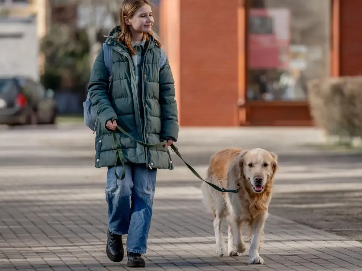 Ragazza con un cane al guinzaglio passeggia sul marciapiede. Il cane, un golden retriever, sembra felice.