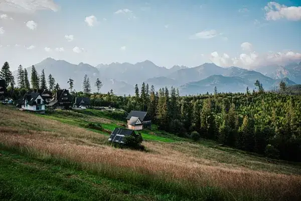 Polana Głodówka widok na Tatry