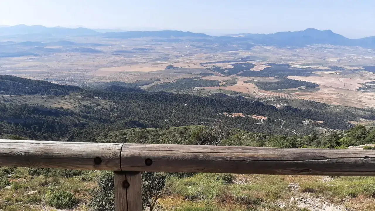 Vista panor&aacute;mica de la sierra del Carche, con un valle extenso y monta&ntilde;as al fondo. Un camino serpentea entre la vegetaci&oacute;n.