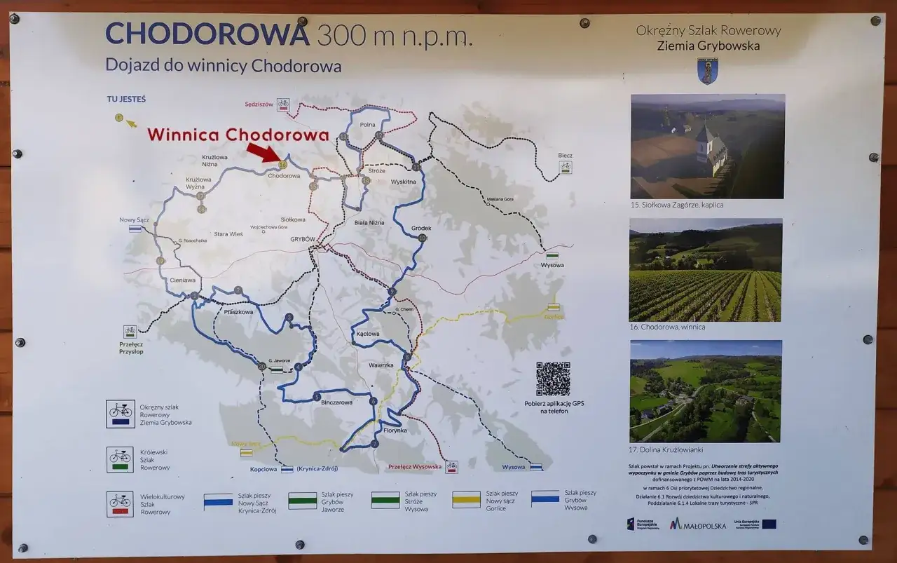 Mapa szlaku enoturystyki w Polsce: jak zaplanować wycieczkę do winnicy w Chodorowej. Widok na winnice i okoliczne krajobrazy.