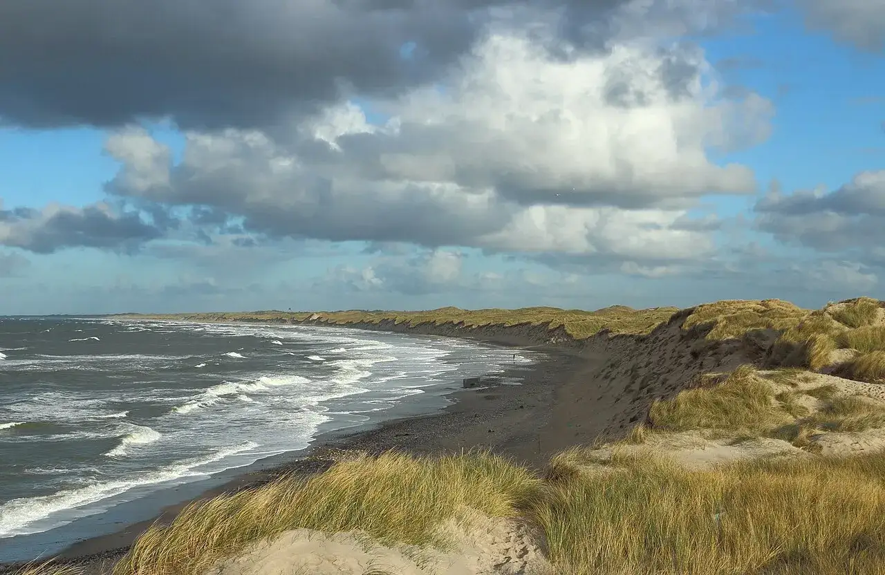 V&aring;gor sl&aring;r mot en sandstrand kantad av gr&auml;sbevuxna dyner. En vidstr&auml;ckt vy &ouml;ver danmark natur under en dramatisk molnhimmel.