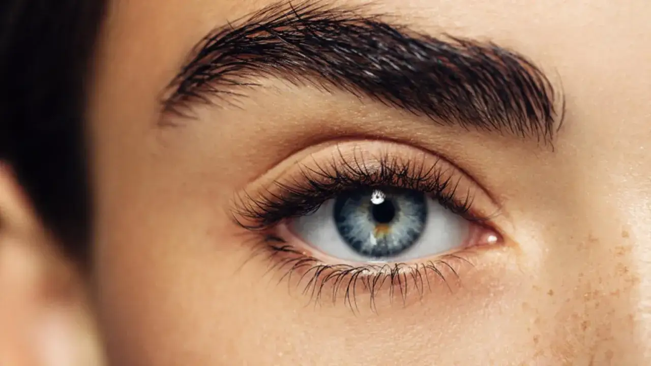 Ojo azul con pestañas largas y cejas pobladas, resaltando la belleza natural.
