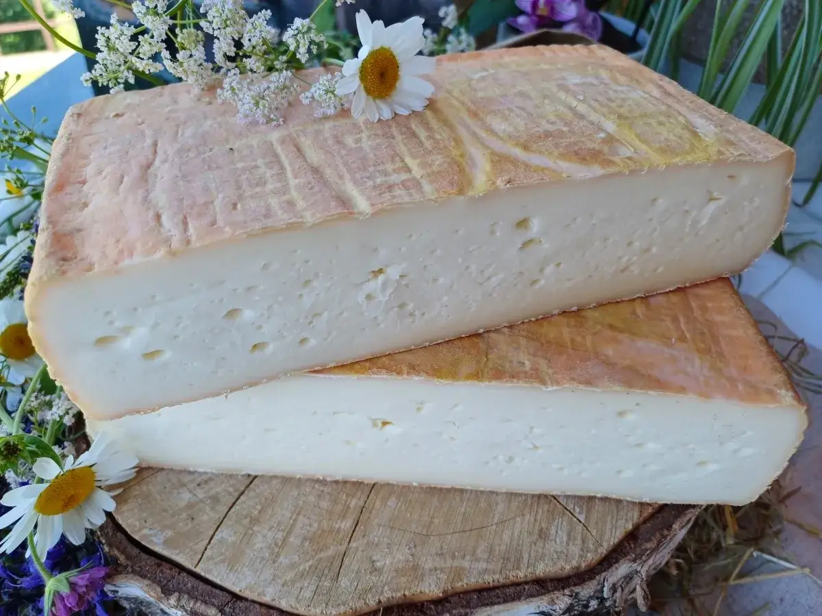 Due fette di formaggio con crosta rosata e pasta bianca, ricche di storia e dal sapore autentico, che evocano il taleggio origine.