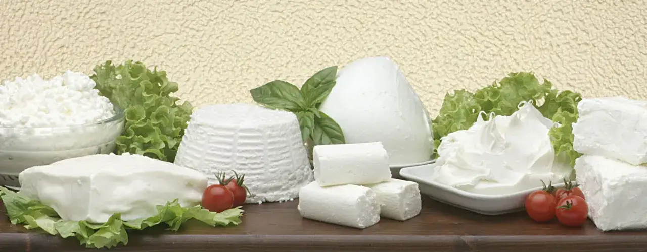 Varietà di formaggi freschi, latticini e verdure. Se cerchi una **tuma come sostituirla**, qui trovi ottime alternative.