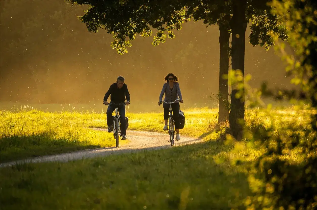 Rodzina na rowerach nad jeziorem Lubuskim
