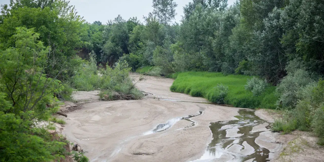 Suchy koryto rzeki, z niewielkimi kałużami, otoczone bujną zielenią. Obraz skłania do refleksji, kiedy skonczy sie woda pitna.