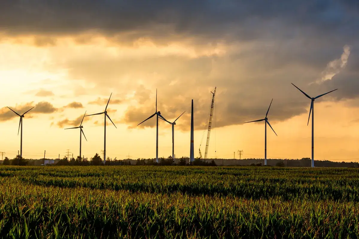 Windr&auml;der im Abendlicht, ein Feld mit Mais und eine Baustelle f&uuml;r erneuerbare Energien, die die Umsetzung der erneuerbare energien richtlinie symbolisiert.