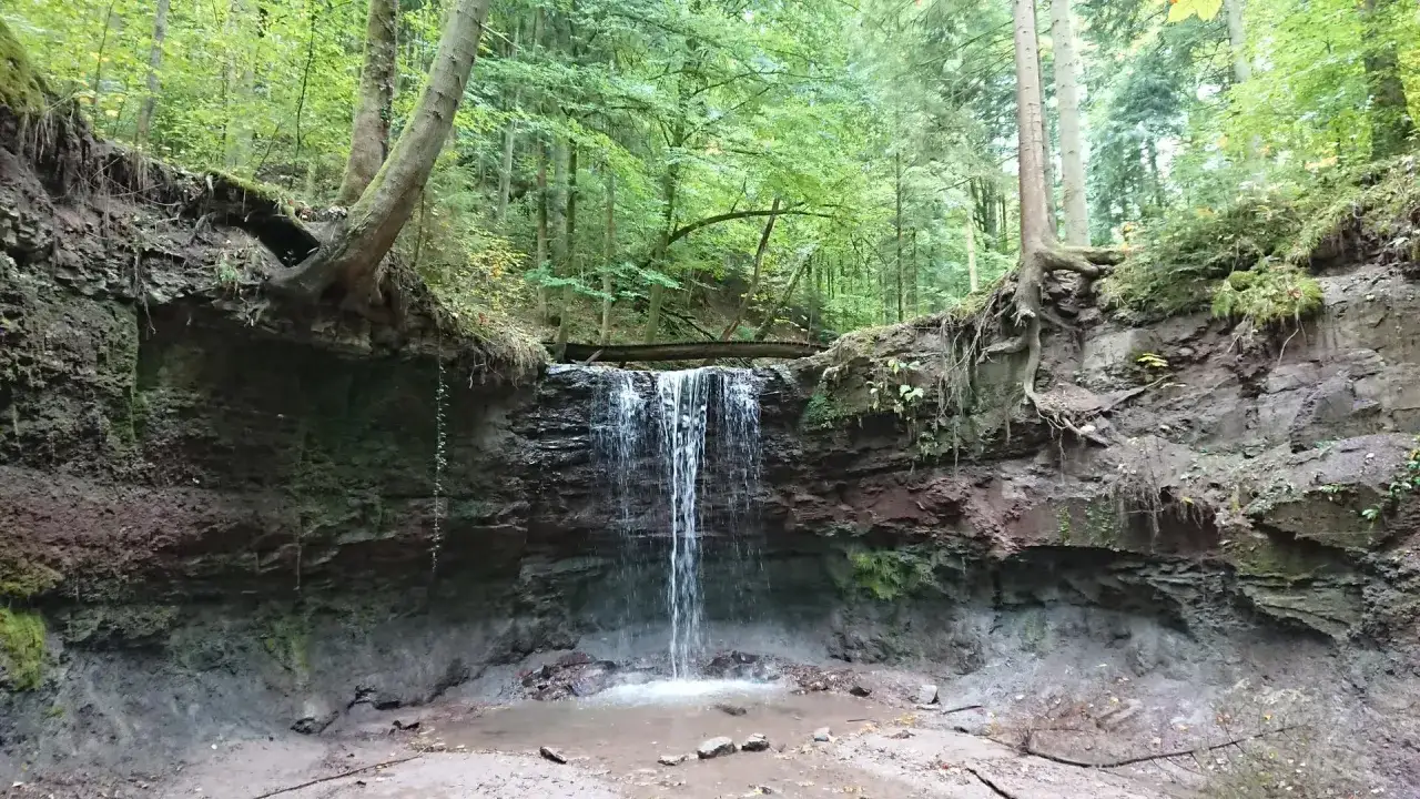 Ein kleiner Wasserfall stürzt in einem welzheimer Wald über moosbewachsene Felsen. Wurzeln von Bäumen krallen sich an den Steilhang.