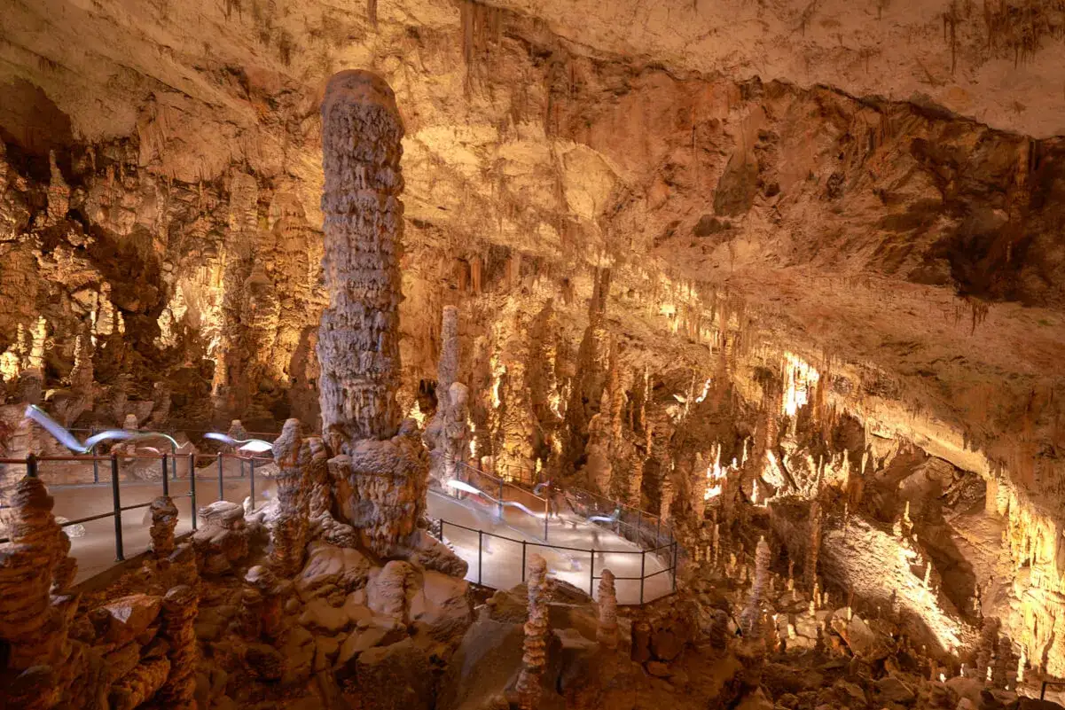 Imponująca jaskinia Postojna z licznymi stalagmitami i stalaktytami, oświetlona ciepłym światłem, tworzy magiczny krajobraz.