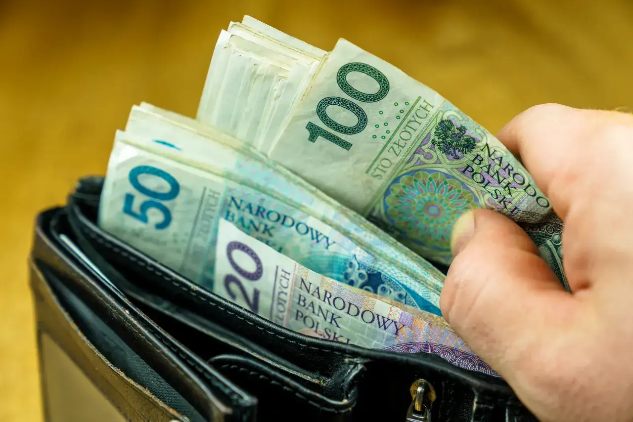 Dłoń wyciąga z portfela polskie banknoty 100 zł, 50 zł i 20 zł. Gotówka to nie wszystko, co nie może być wkładem własnym.