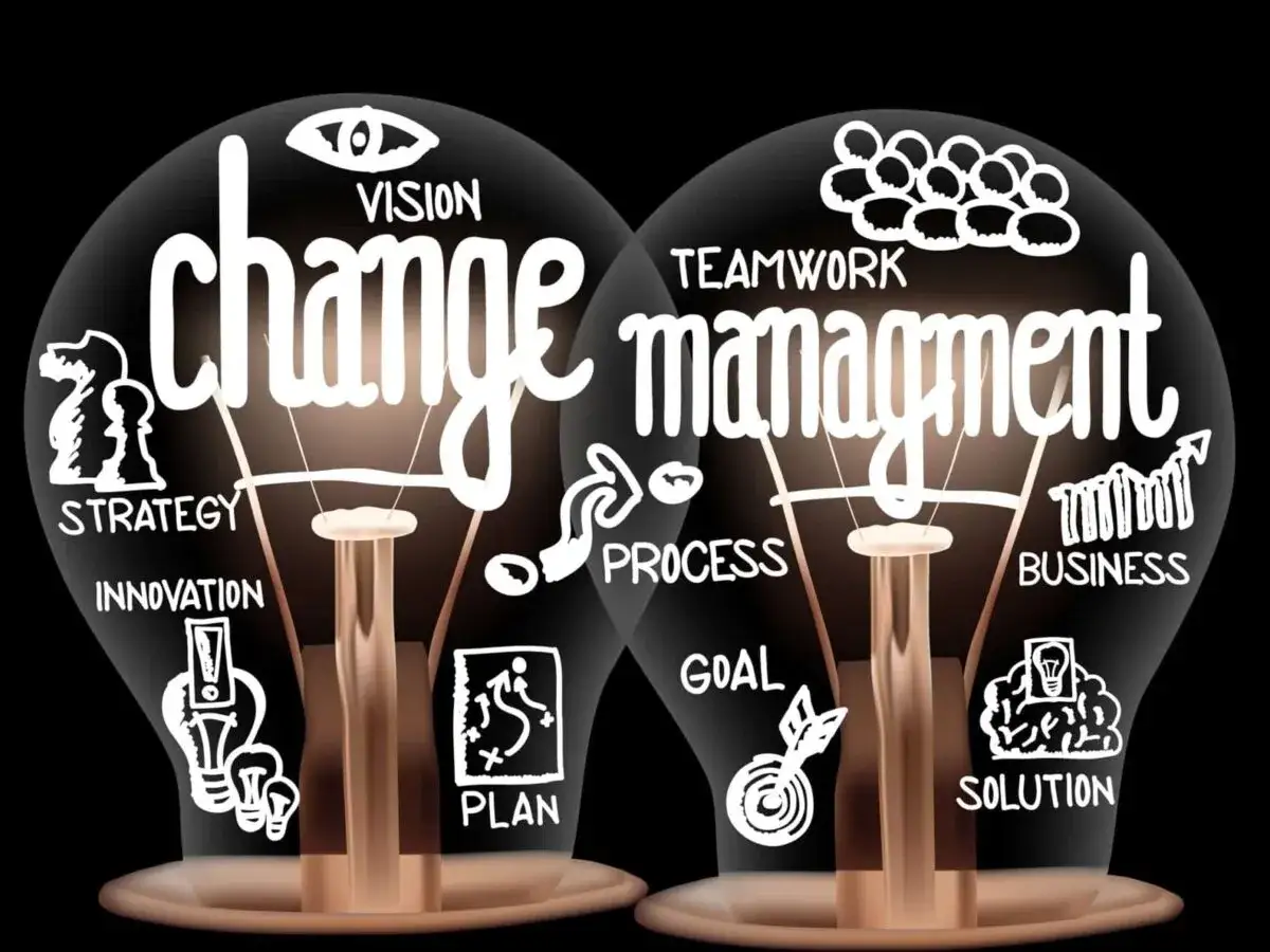 Two lightbulbs illustrate managing change and innovation, with words like