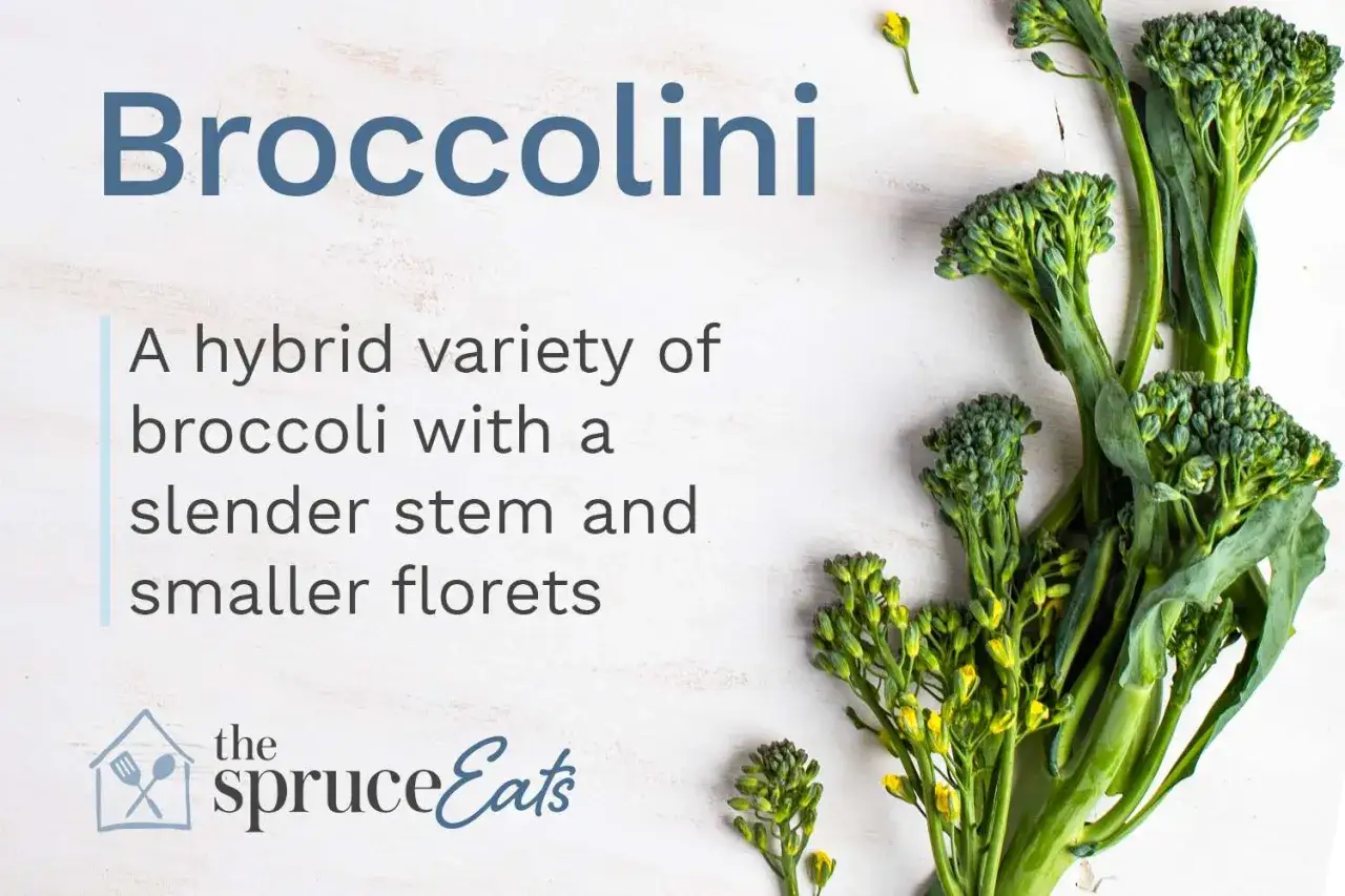Frischer Broccolini, eine Kreuzung aus Brokkoli, mit zarten Stielen und kleinen Röschen.