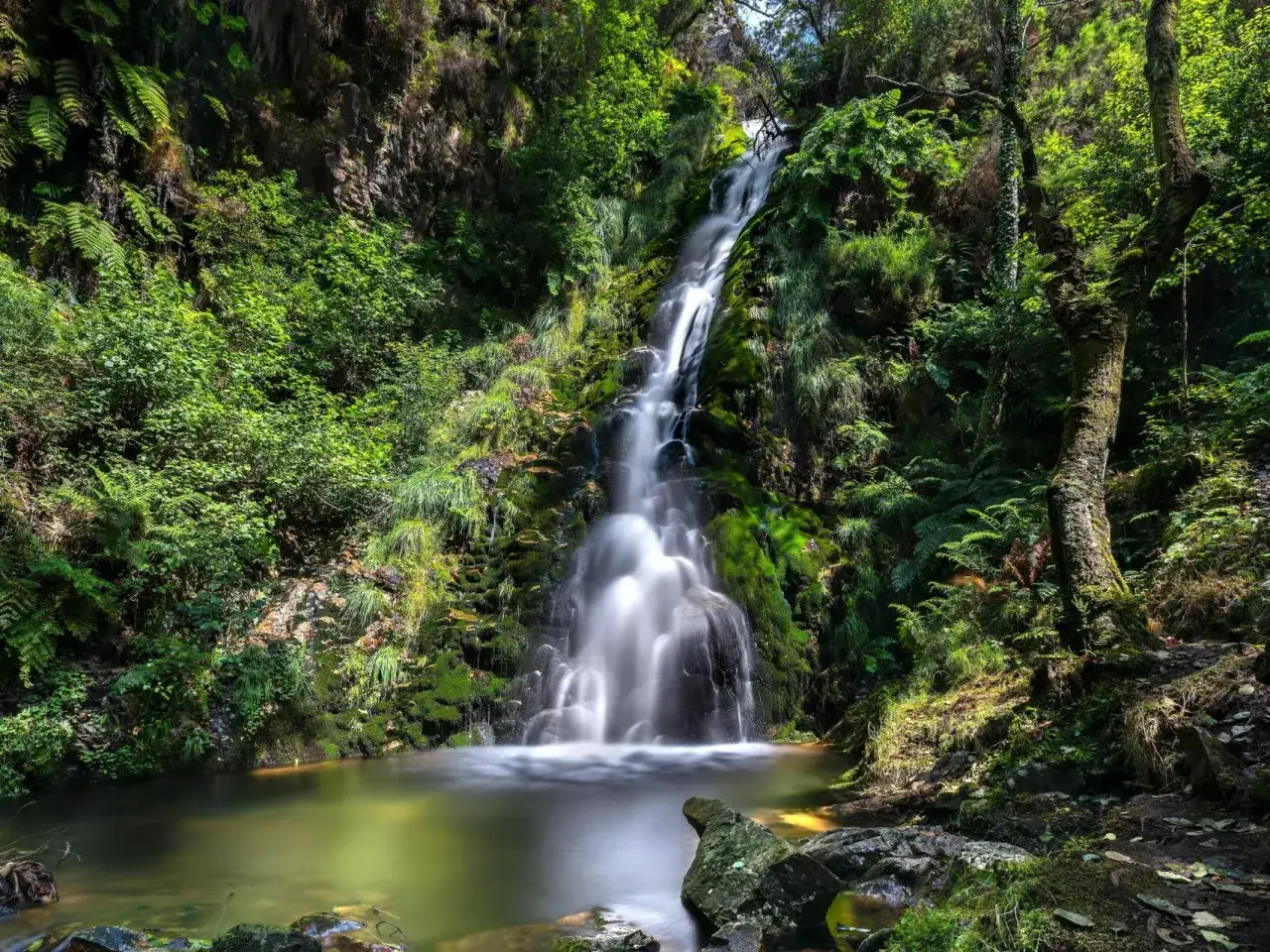 Cascada en el **pozo da onza**, rodeada de exuberante vegetación verde y musgo. El agua cae en cascada sobre rocas cubiertas de verde, formando una piscina natural.
