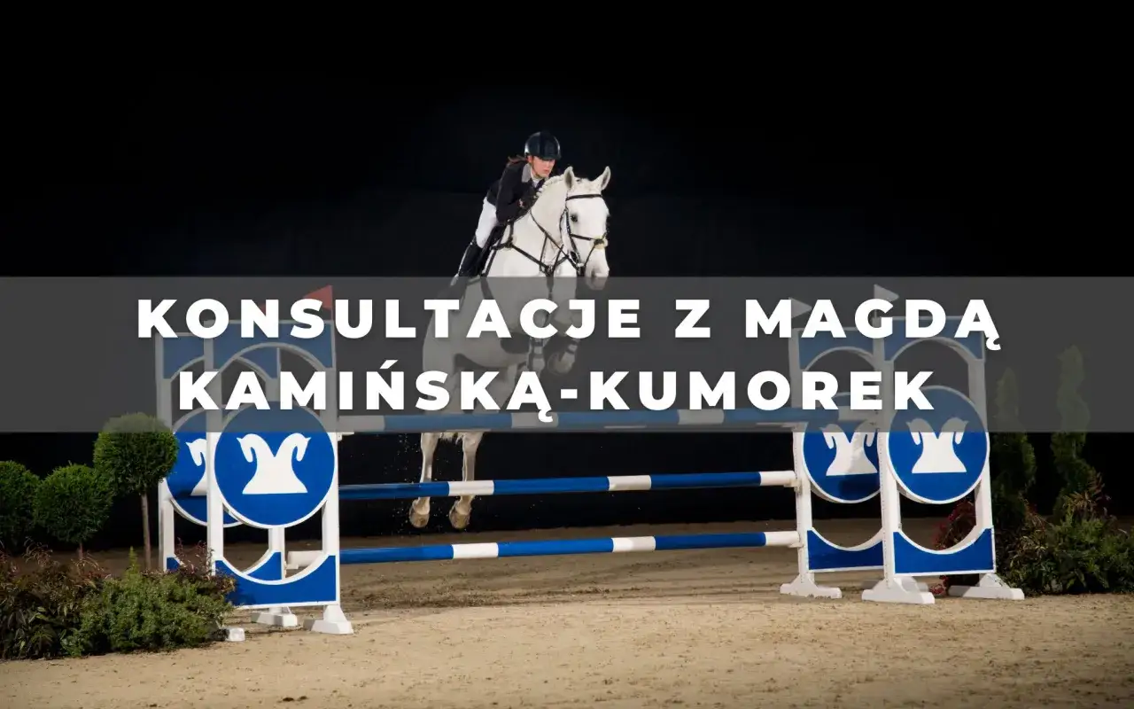 Jeździec i koń, budowanie zaufania