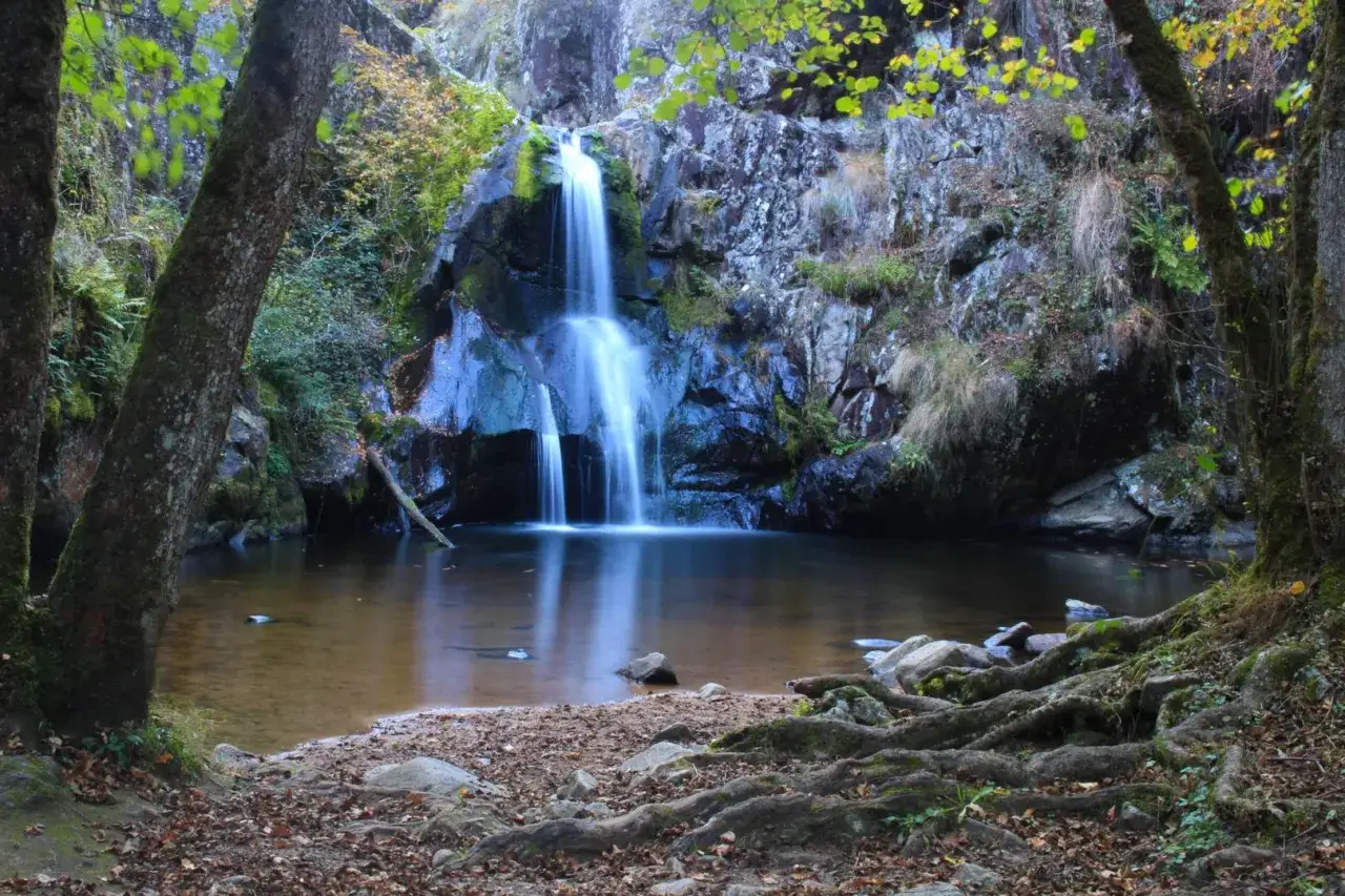 La cascade du Gour Saillant, un spectacle naturel o&ugrave; l'eau tombe en voile blanc sur la roche sombre, entour&eacute;e de verdure et de racines noueuses.