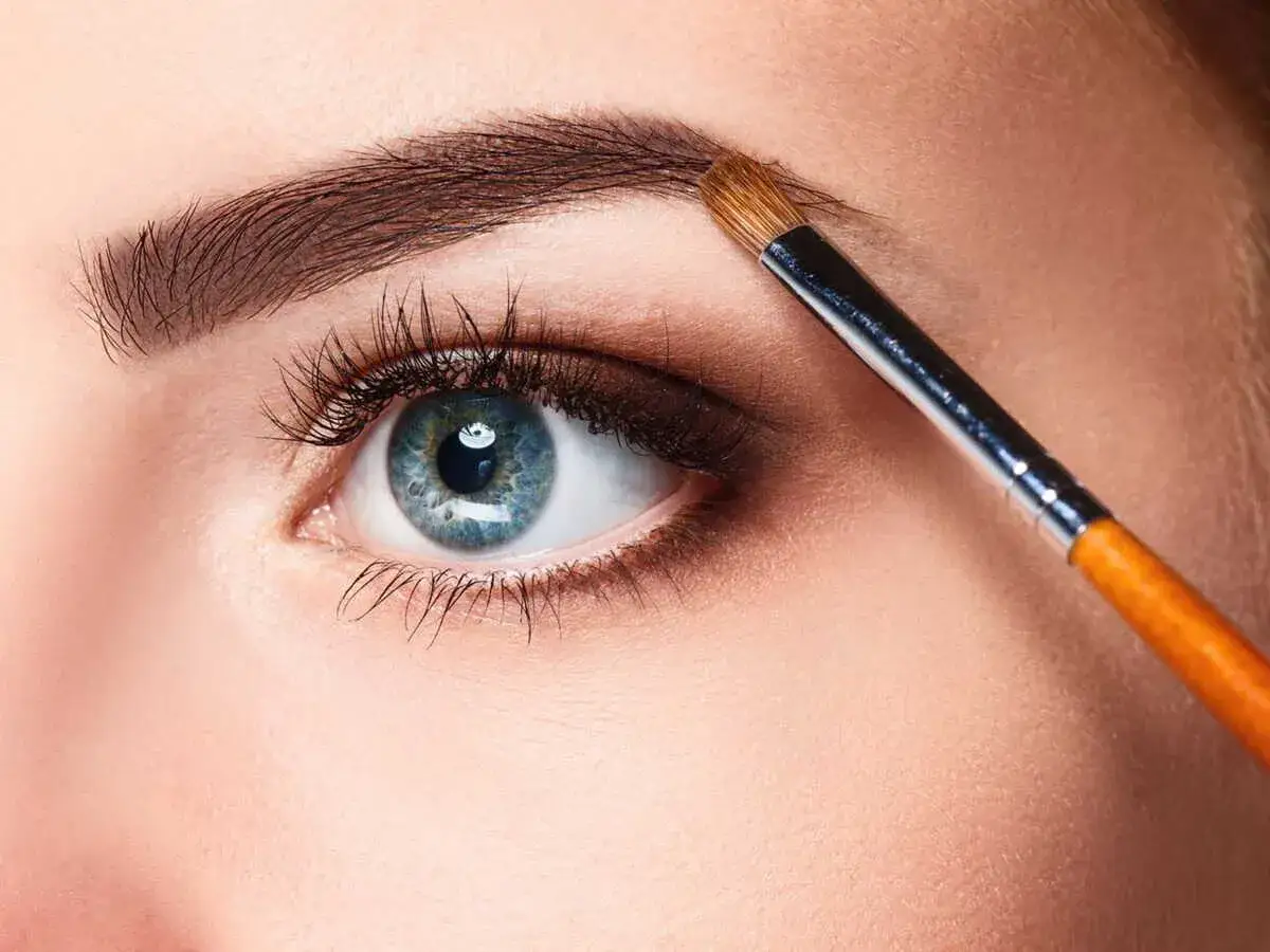 Un pinceau maquille un sourcil, soulignant leur rôle dans l'expression du regard.
