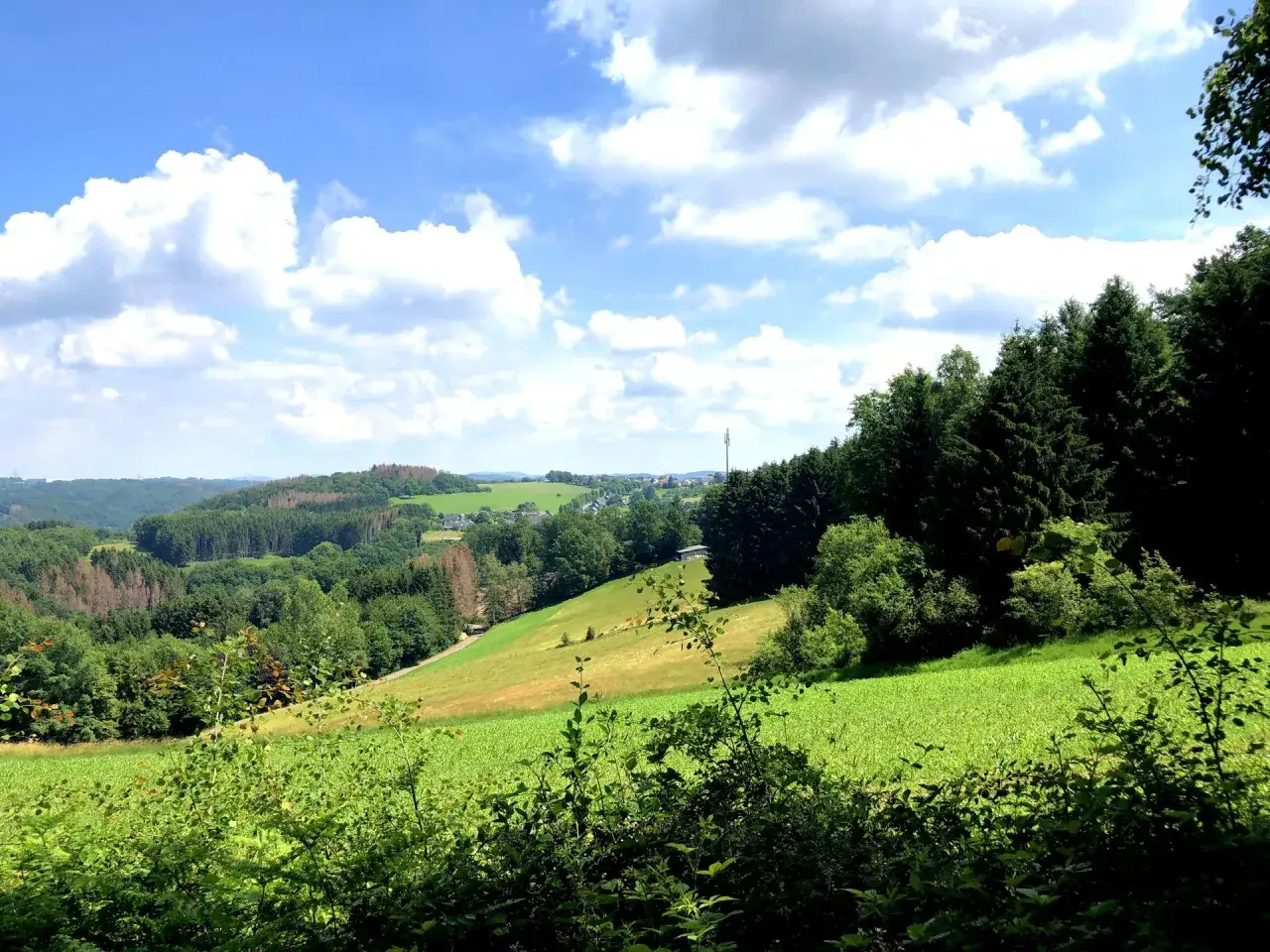 Gr&uuml;ne H&uuml;gel und W&auml;lder, ein idyllischer Ausblick auf dem Bierweg Bielstein.