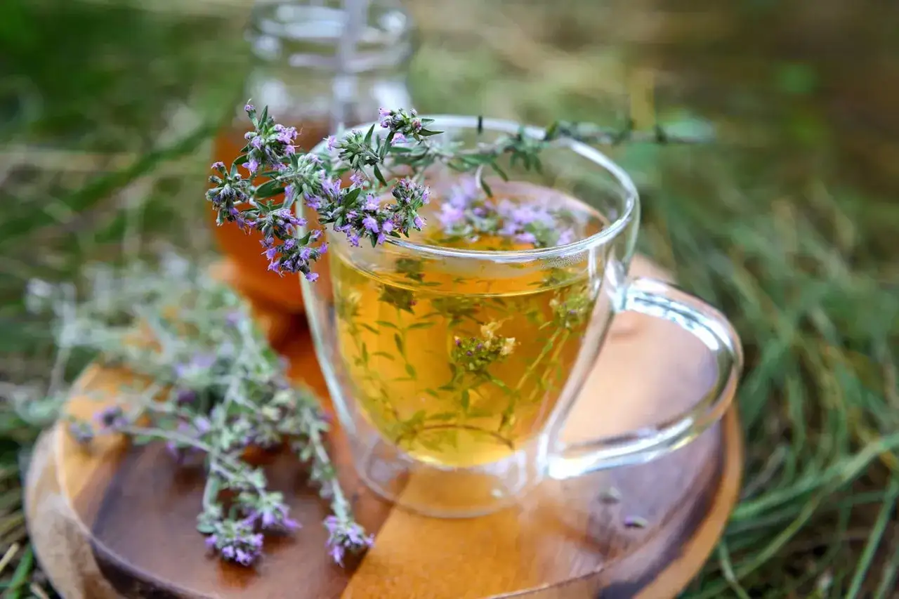 Une tasse de tisane dor&eacute;e avec des fleurs de thym violettes. Un bouquet de thym frais &agrave; c&ocirc;t&eacute;. Id&eacute;al pour savoir comment faire une tisane.