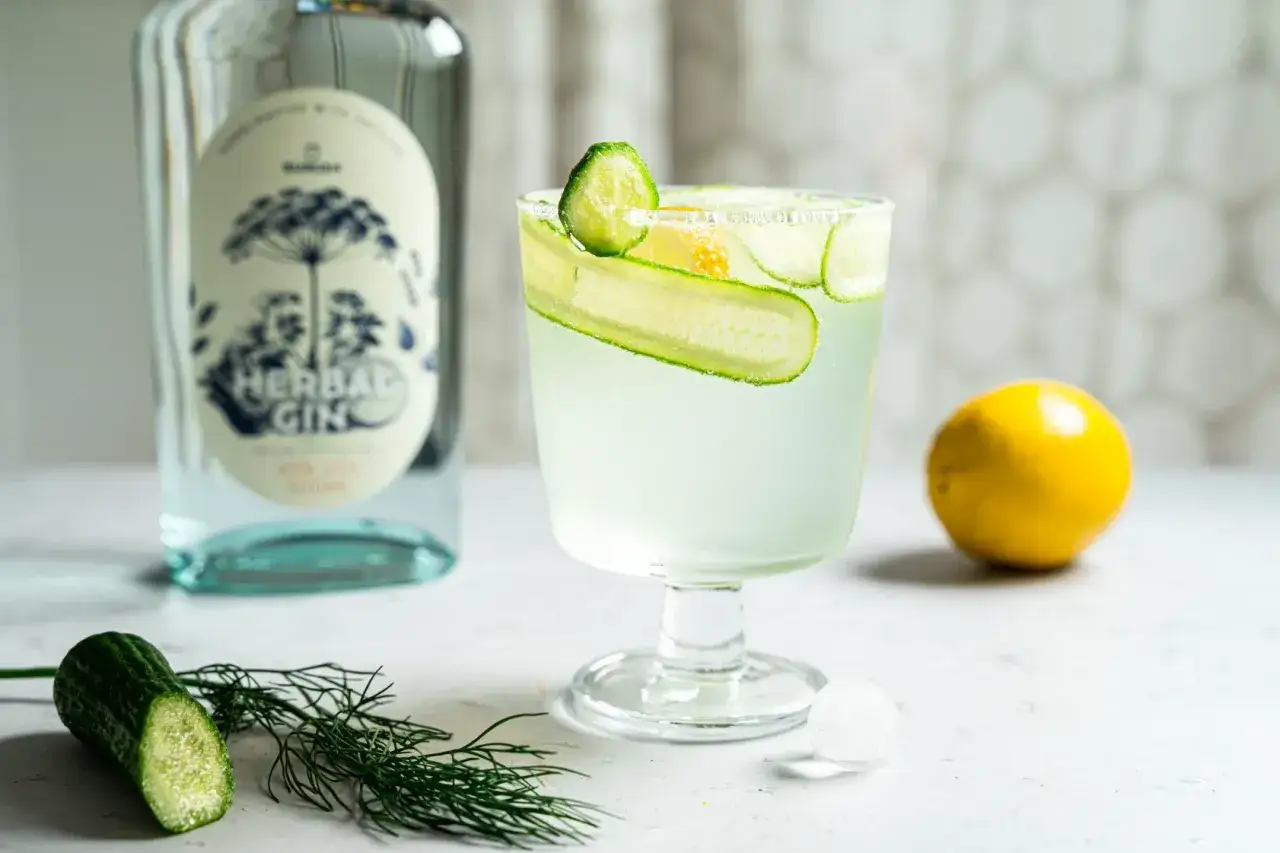 Gin Tonic mit Gurke und Zitrone
