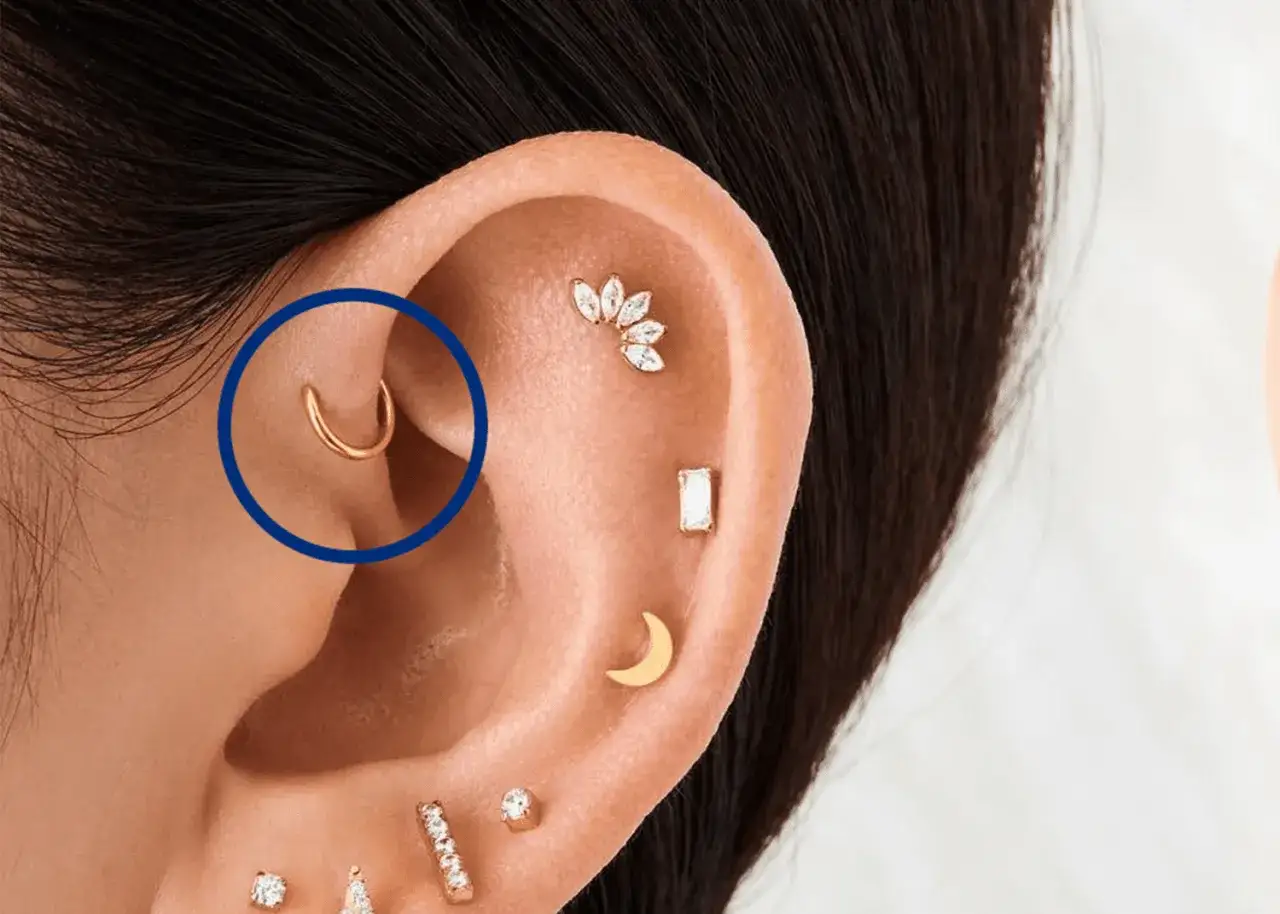 Złoty kolczyk w kształcie podkowy zdobi ucho, podkreślając subtelny forward helix piercing.