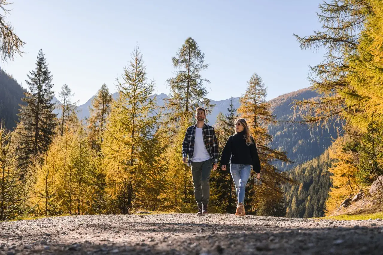 Coppia passeggia tra i larici dorati del Val di Rabbi in autunno, con montagne sullo sfondo.