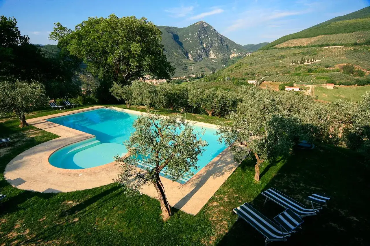 Piscina con vista panoramica su uliveti e montagne, ideale per vacanze in Umbria.