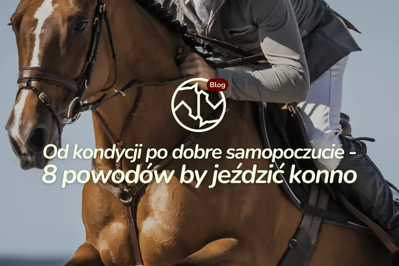 Jazda konna odchudza i poprawia samopoczucie. Odkryj 8 powodów, dla których warto wsiąść na konia.
