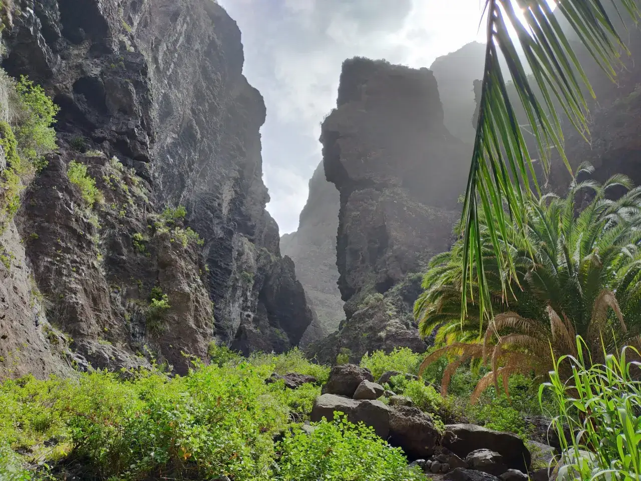 El **barranco de Masca** se abre entre imponentes paredes rocosas, con vegetaci&oacute;n exuberante y palmeras que anuncian un para&iacute;so escondido.