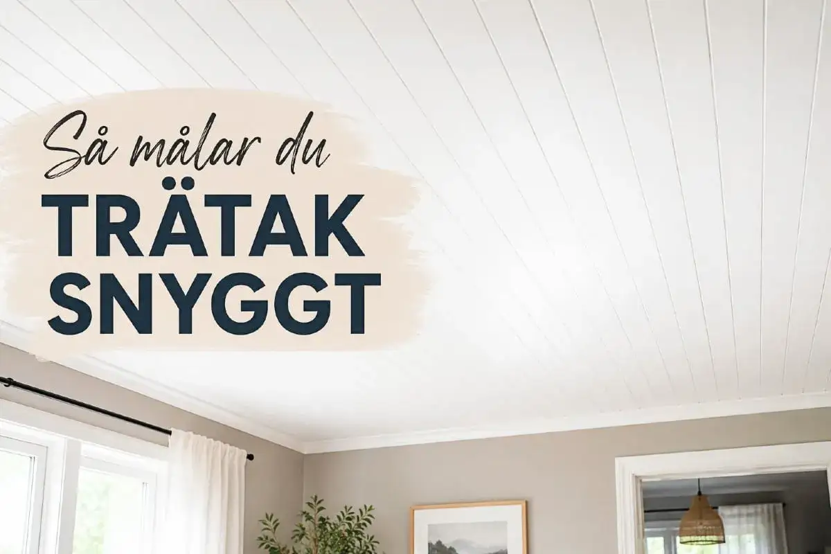 Så målar du furutak snyggt. Ett vitt träpanelstak som ger ett ljust och fräscht intryck i rummet.