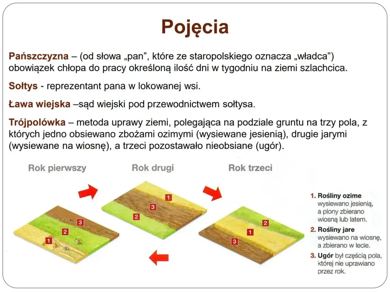 Ilustracja przedstawia system trójpolówki, metodę uprawy ziemi z czasów średniowiecza. Lata obfitowały w plony dzięki tej technice.