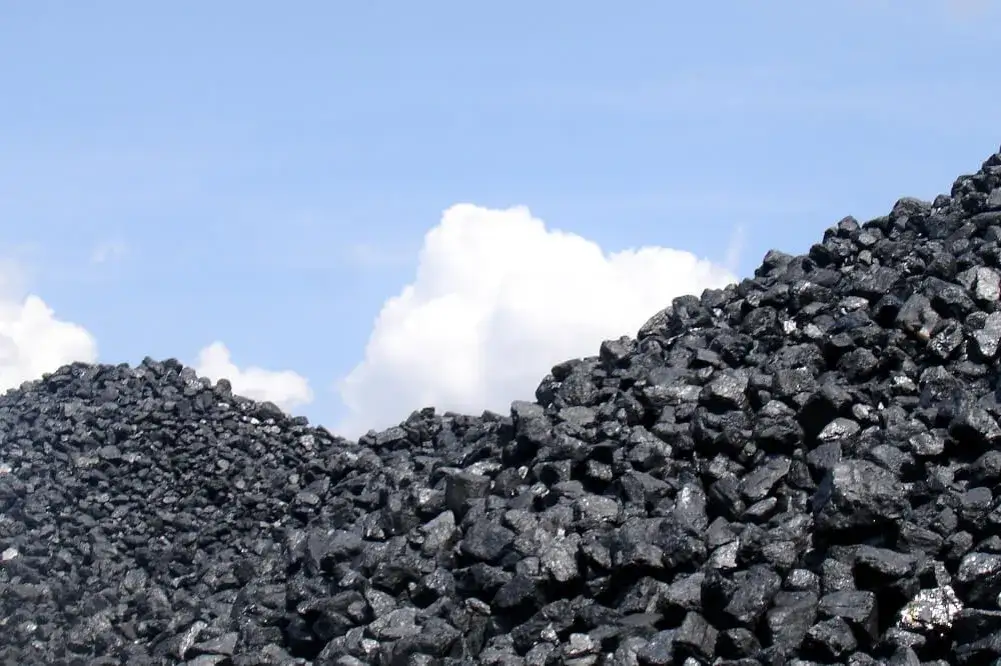 Zdjęcie Okres geologiczny w którym powstał węgiel kamienny – tajemnice karbonu
